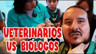 Que no te engañen Revisión profesional de tu serpiente