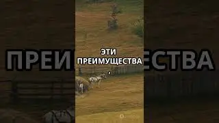 Почему мы не ездим на зебрах 🦓🧍&zwj;♂️