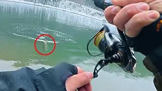 極寒の管理釣り場で巨大ニジマスが喰いついたのはこのルアー