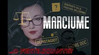 Gli Occhi su TIZZONI: conflitto d'interessi?
