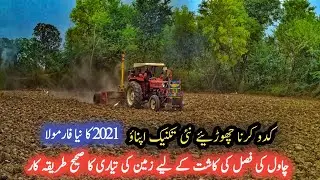 Cultivation Of Rice Crop In Pakistan | Chawal ki Kasht | Rice Farming in Pakistan