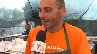 7° Sagra della Pecora - Fabrica di Roma (VT)