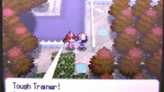 White 11: Outside Pinwheel Forest