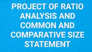12th  class project on the topic of ratio analysis and common & comparative size statement