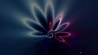 Pulse Mandala : Tayutau