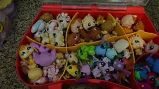 Lps collection Tour (2025 edition) 