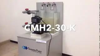 Tsunami Pump CMH2 30 K Demo