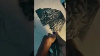 how to draw a realistic lion step by step tutorial #_B2_art_#art #trending #viralshort #ytstudioes