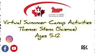 Virtual Summer Camp Activities: STEM (Science)