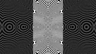 Hypnotic Optical Illusion Fractals | Perception Shifts in Black & White | #opticalillusion