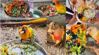 For my birds, I put whatever food and vegetable on the table and all my birds eat very happily.