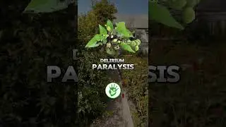 5 most poisonous herbs.