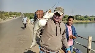 रात में पड़न मछली का शिकार || नांदेड गोदावरी नदी Night Fishing 