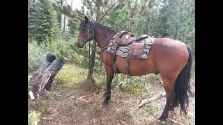 A new wild ride  &middot; Riding the Wild &middot; Big Creek Lodge  &middot; British Columbia, Canada