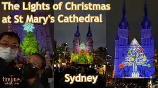 The Lights of Christmas at St Mary's Cathedral Sydney Lights Show Carols