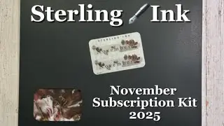 Распаковка подписки на набор наклеек Deluxe Sterling Ink за ноябрь 2025 года