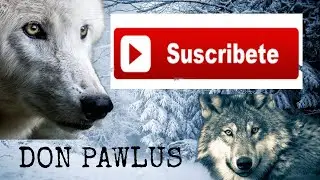 CON LA TIERRA NOS BASTA (DON PAWLUS) VÍDEO OFICIAL