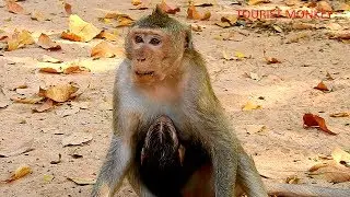 Kidnapper Duchess become a good mother, Duchess take good care to Duke, Duchess is youngest mother
