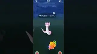 POKEMON GO: SHINY ✨DRATINI✨ ENCOUNTER 😌