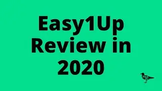 Easy1Up Review 2020
