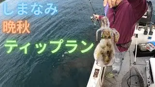 しまなみ晩秋ティップラン