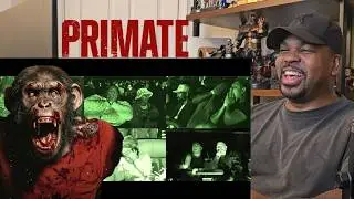 Primate TERRIFIES Audiences - Reaction!