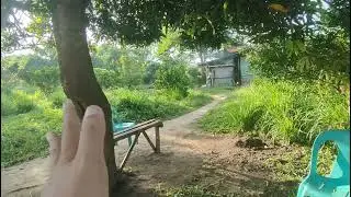 1000sqm Mini Farm Lot