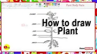 Plant with Body Parts Drawing | LearnByArts