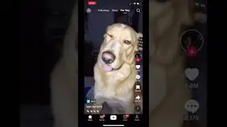 TikTok Follower Limit Reached‼️