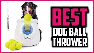 ☑️ Top 5 Best Dog Ball Thrower of 2026 : Who wins in 2026 ?..😍✨