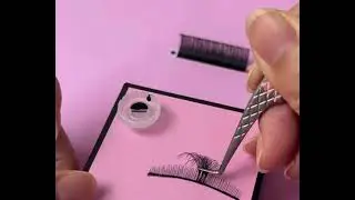 Volume lash 