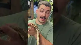ЗМЕЯ С ДВУМЯ ГОЛОВАМИ?! @BrianBarczyk