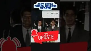 JOEY TESTA TO BE RELEASED | FELLOW 