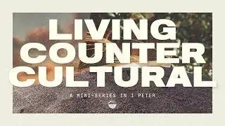 Living Counter: Культура. Часть 1 | Малкольм Тейлор