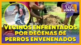 Santa Anita: Vecinos enfrentados por decenas de perros envenenados