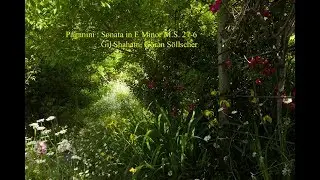 Paganini : Sonata In E Minor M.S. 27-6