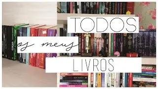 BOOKSHELF TOUR | Tour por todos os livros da minha estante - 2017