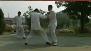 心意六合拳  简介 Xinyi Liuhe Quan