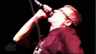 Descendents - Suburban Home (Live in Sydney) | Moshcam