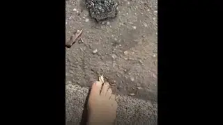 Barefoot on Rough Pavement 🐾 🦶🏼 #Barefoot #Walking #Pavement #UrbanASMR #NaturalFeet #OutdoorVibes