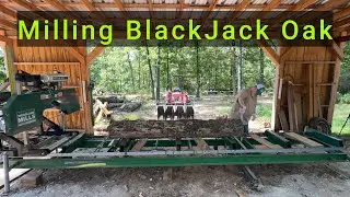 Frezowanie dębu BlackJack | Wymiana ostrza w młynach Woodland Mills HM126