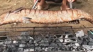 Catch and Cook Giant Barracuda: Grilling Our 6.7kg Catch