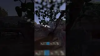 Bro got cooked #rust