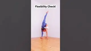 Flexibility Check! #shorts