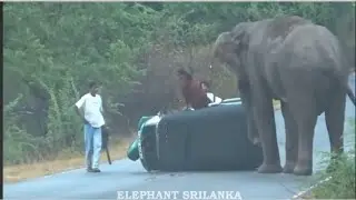 मेरे सपनो कि रानी कब आऐ गी तु 🤣🤣 Gajodhar Singh S.I. On Duty #funny #comedyvideos #comedy