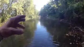Walking the river bank