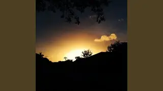 Firefly.