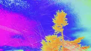 Cruise - August [EPILEPSY WARNING]