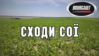Сходи сої після сівалки Bourgault FMS CD 848