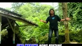 cicire welas-angga.